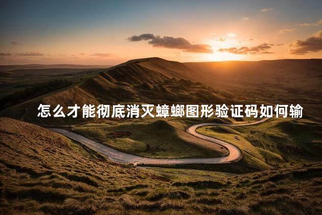 怎么才能彻底消灭蟑螂图形验证码如何输入 消灭蟑螂可以用樟脑球吗
